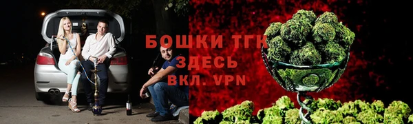 амф Осташков