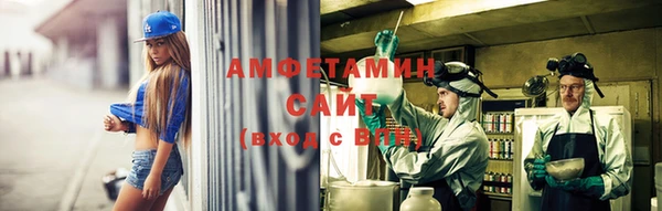 амф Осташков