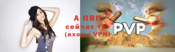 амф Осташков