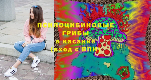 амф Осташков