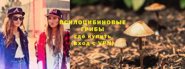 амф Осташков