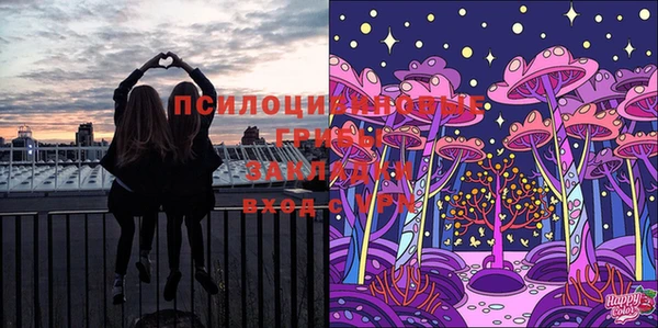 амф Осташков
