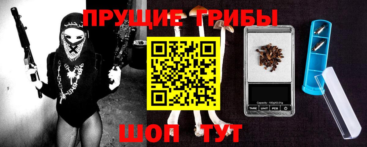 продажа наркотиков  Сертолово  Галлюциногенные грибы Psilocybe  Галлюциногенные грибы MAGIC MUSHROOMS 