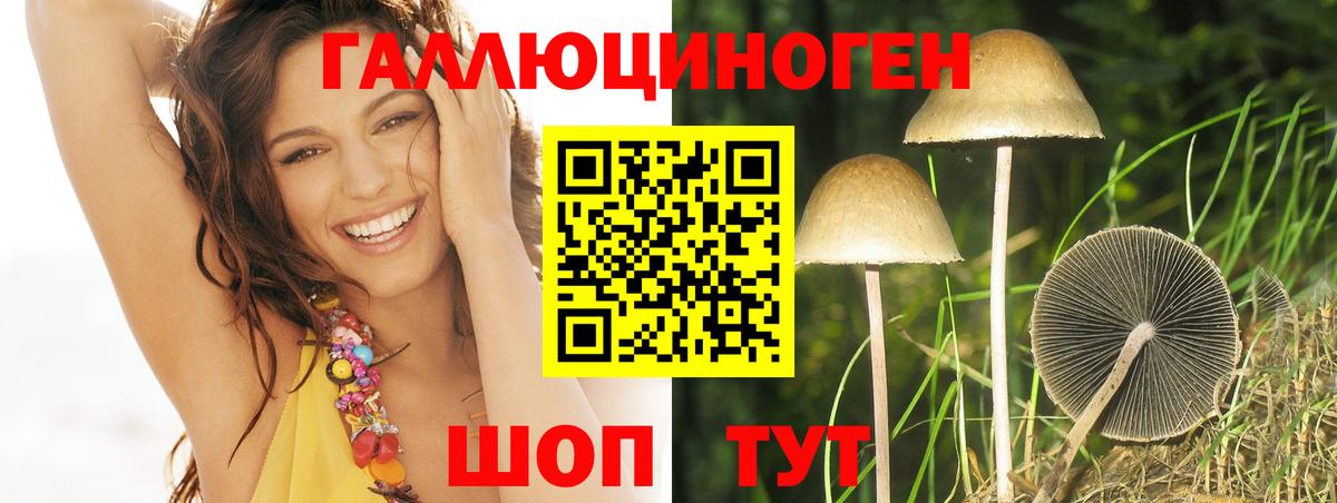 Галлюциногенные грибы Psilocybine cubensis Сертолово