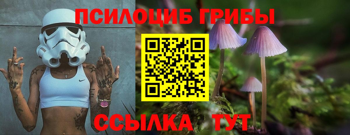 Галлюциногенные грибы Cubensis  Галлюциногенные грибы ЛСД  Вход с VPN  Сертолово 