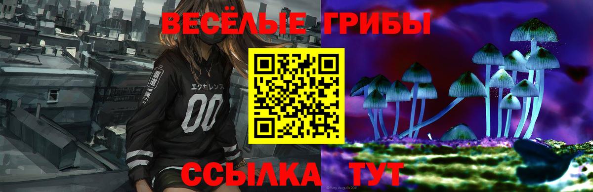 Галлюциногенные грибы Cubensis Сертолово